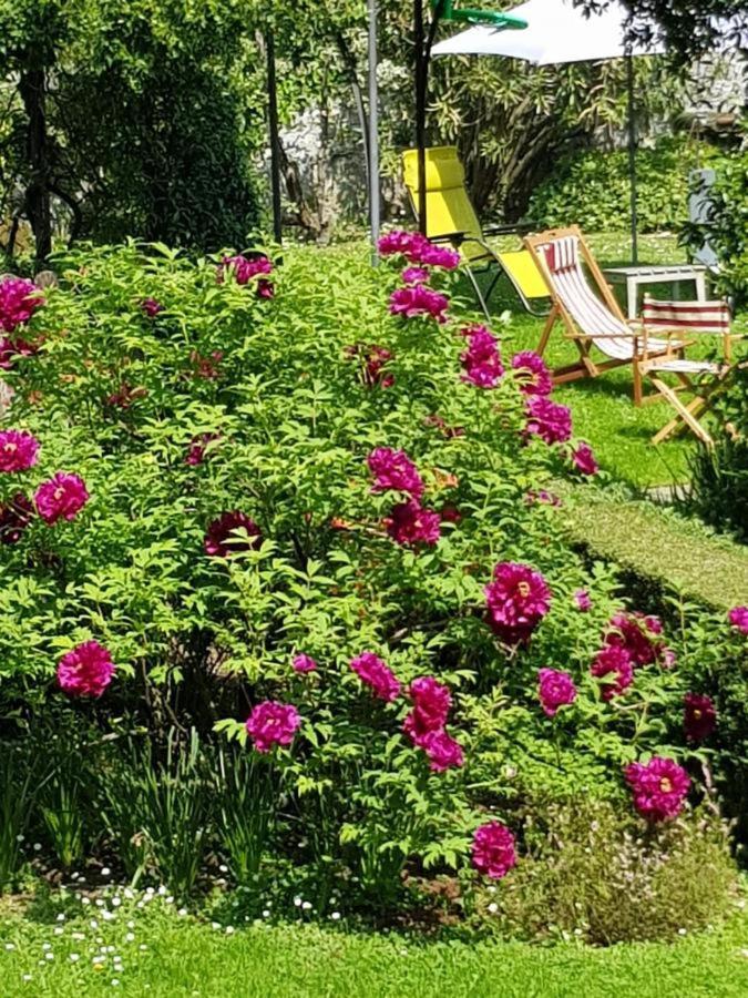 Ca Balossa, Tremezzina Lago Di Como Davanti A Bellagio E Villa Balbianello Mezzegra Luaran gambar