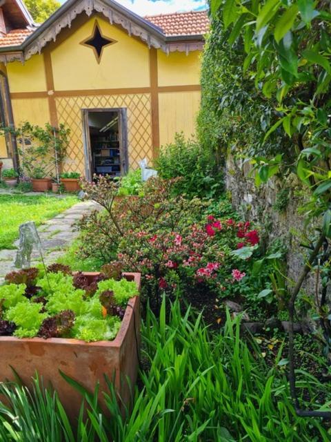 Ca Balossa, Tremezzina Lago Di Como Davanti A Bellagio E Villa Balbianello Mezzegra Luaran gambar